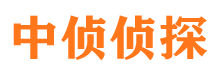 灵台市调查公司